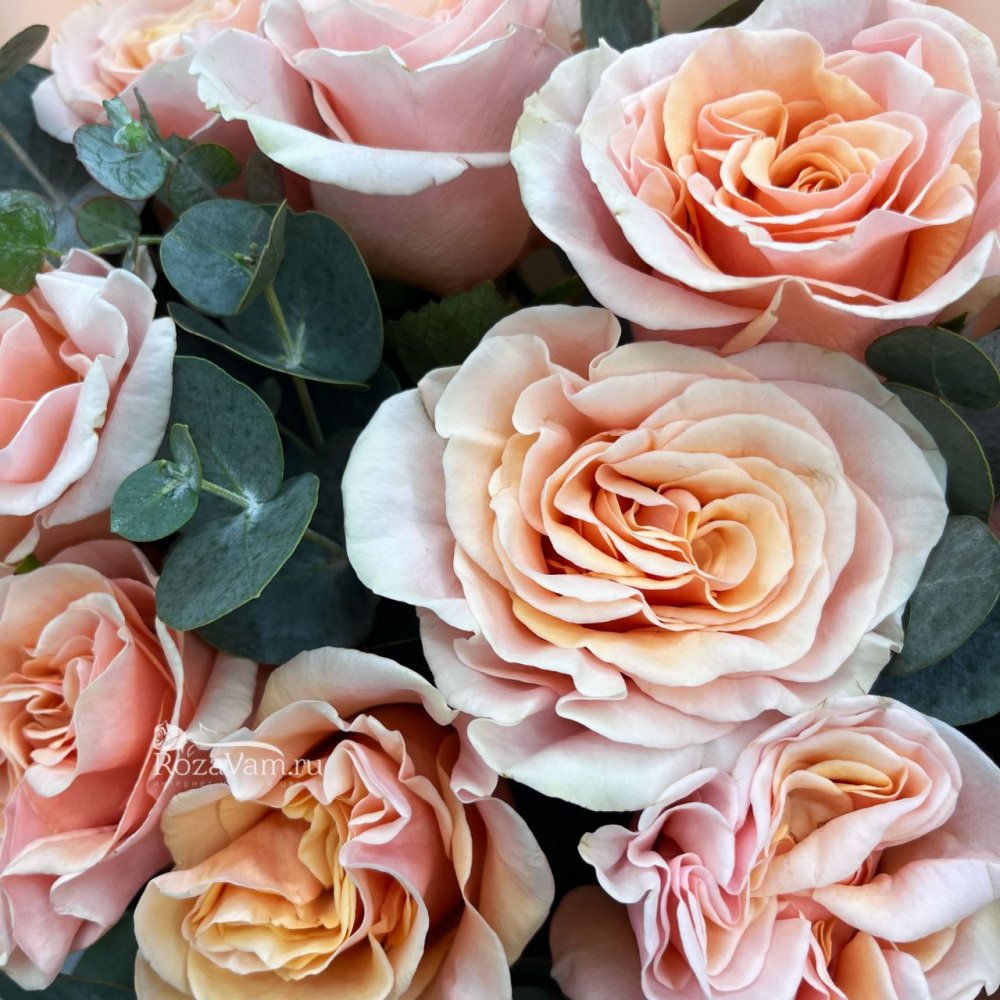 Букет Феникс